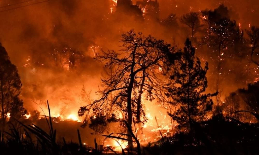 Ας προσφύγουν και πάλι στους «ειδικούς»